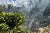 Kebakaran hebat melanda perkebunan warga di Desa Hidayat, Kecamatan Bacan, Kabupaten Halmahera 