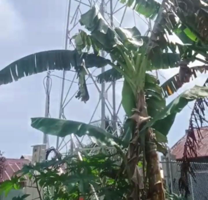 Salah satu tower telekomunikasi yang dibangun dekat pemukiman warga di Desa  Daruba, Pulau Morotai.